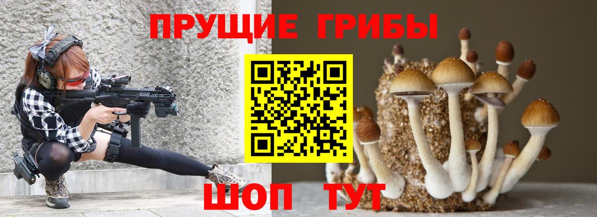 Псилоцибиновые грибы мухоморы  Псилоцибиновые грибы Psilocybine cubensis  Вход с VPN  Волгоград 