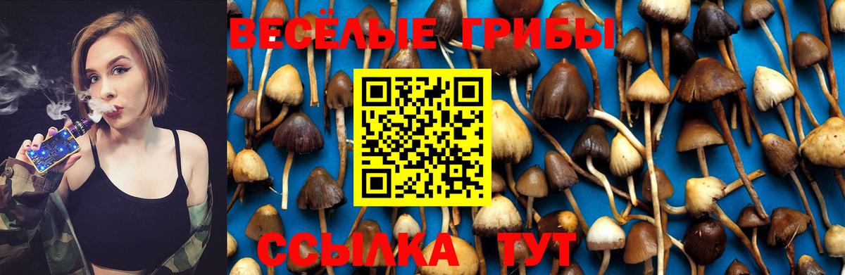 Галлюциногенные грибы GOLDEN TEACHER Волгоград