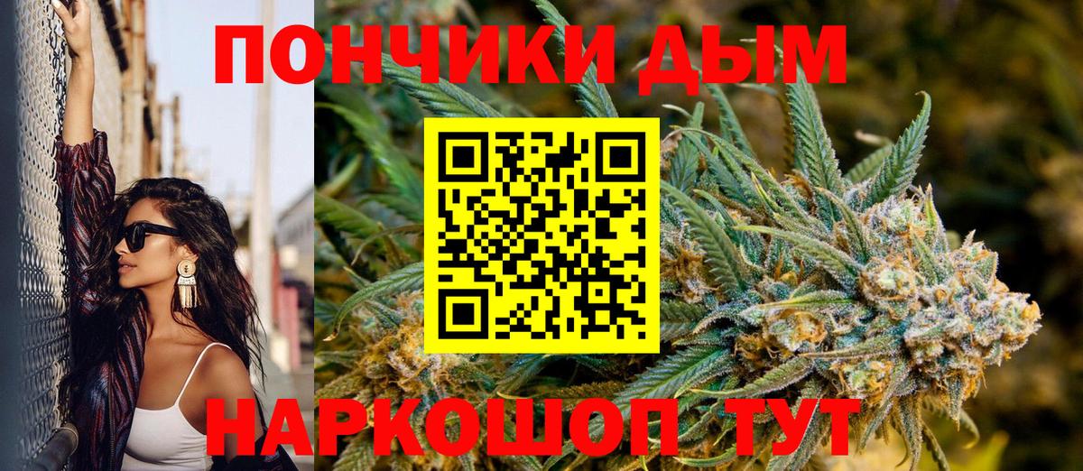 Канабис план Волгоград